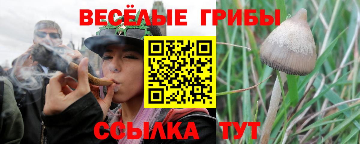 Урюпинск  Галлюциногенные грибы MAGIC MUSHROOMS  Вход с VPN 