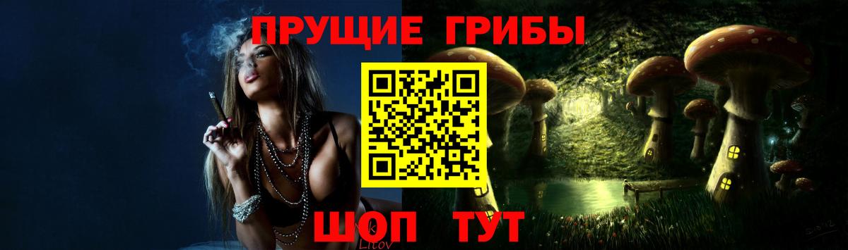 Псилоцибиновые грибы мицелий Урюпинск